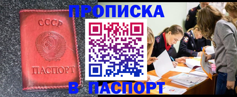 прописка для школы в Асино